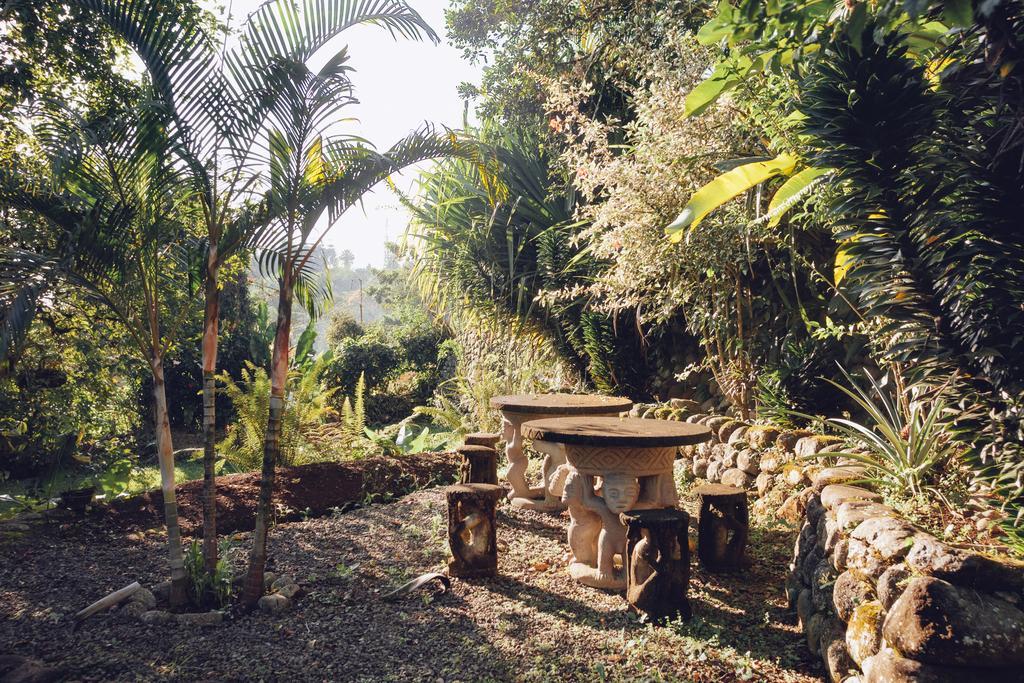 Spanish By The River - Turrialba Buitenkant foto